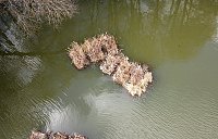 FLOATING ISLANDS (WETLANDS) - image